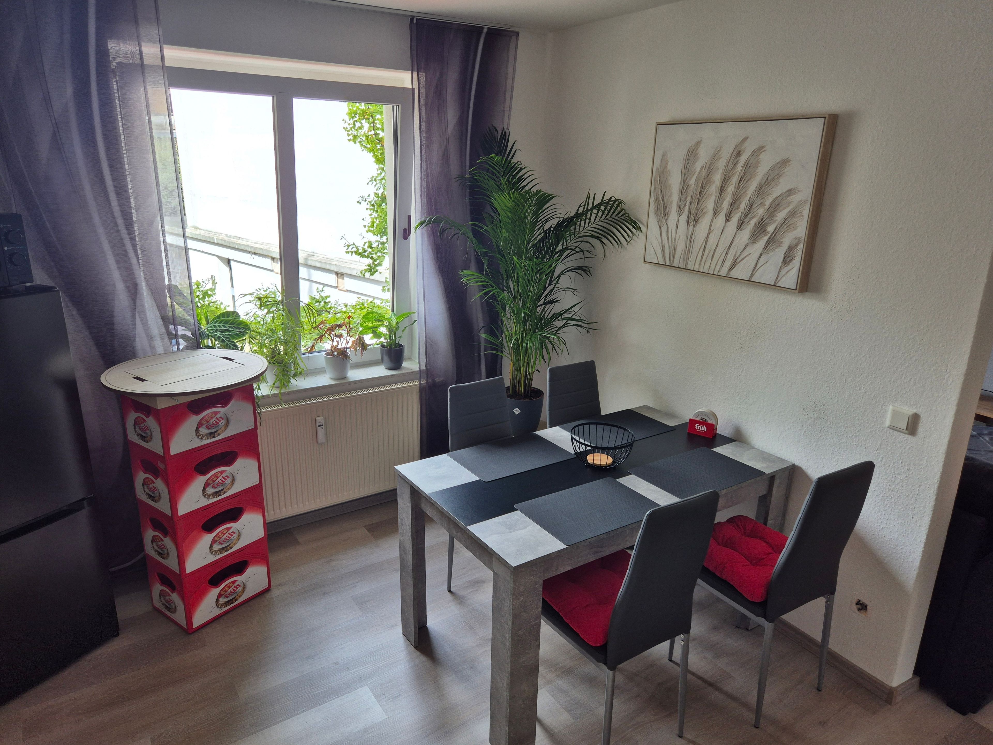 A compact living space with a dining table, chairs, a potted plant, a radiator, and a window with curtains.