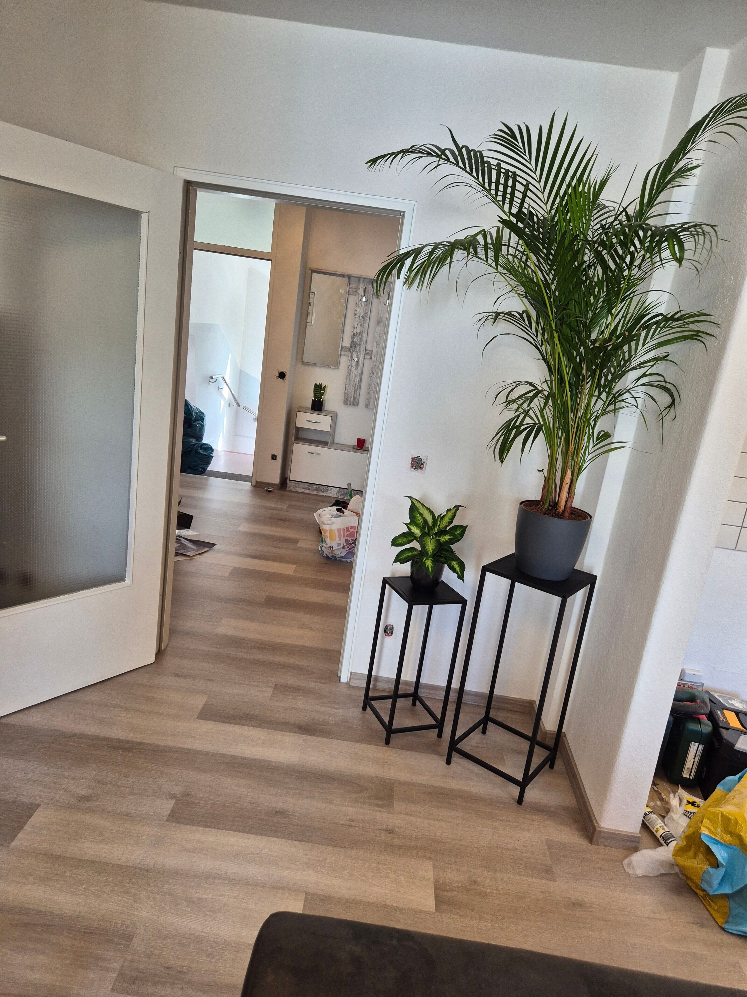 Un couloir avec un plancher en bois, une plante en pot posée sur un tabouret noir et une porte sur la gauche.