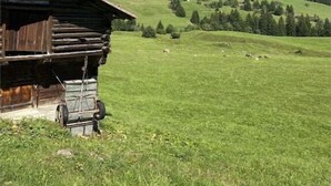 Exterior - Holiday apartment in Laax with swimming pool (Laax)