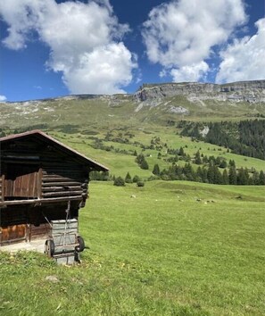 Exterior - Holiday apartment in Laax with swimming pool (Laax)