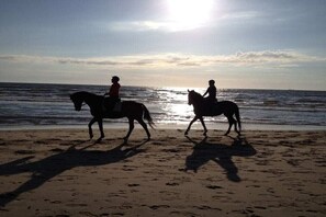Two silhouettes of people riding horses on a beach with the ocean in the background. - Holiday home with 3 bedrooms (Julianadorp aan Zee)