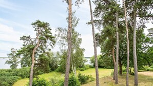 Eine natürliche Landschaft mit hohen Bäumen und einem Gewässer im Hintergrund.