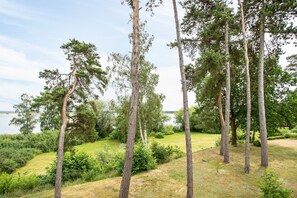 A natural landscape with tall trees and a body of water in the background. - Apartment '10 OG' with Lake View, Balcony and Wi-Fi (Röbel)