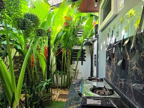 Cocina con estufa a gas, encimeras de mármol y varias plantas.