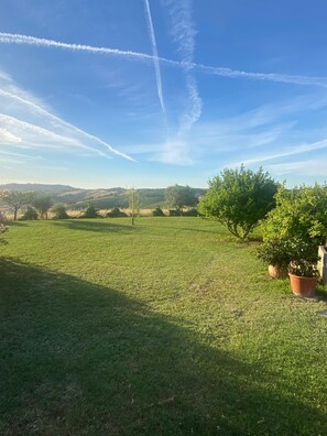A grassy field with trees and a clear sky. - Relais Infinito: Rooms and Views of the Marche Hills (Montefiore)