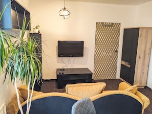 A living room with a flat-screen TV, a black entertainment unit, a patterned door, and a large plant.