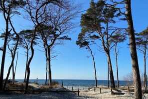 Een strand met bomen en een heldere lucht.
