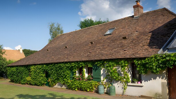 Ein traditionelles Haus mit einem geneigten Dach, Efeu bewachsene Wände und einem kleinen Fenster.