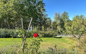 Oklassificerad bild, 5 av 28, knapp