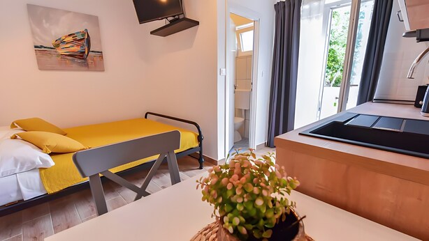 A modern hotel room with a bed, a small table, a plant, a TV, and a view of the outside.