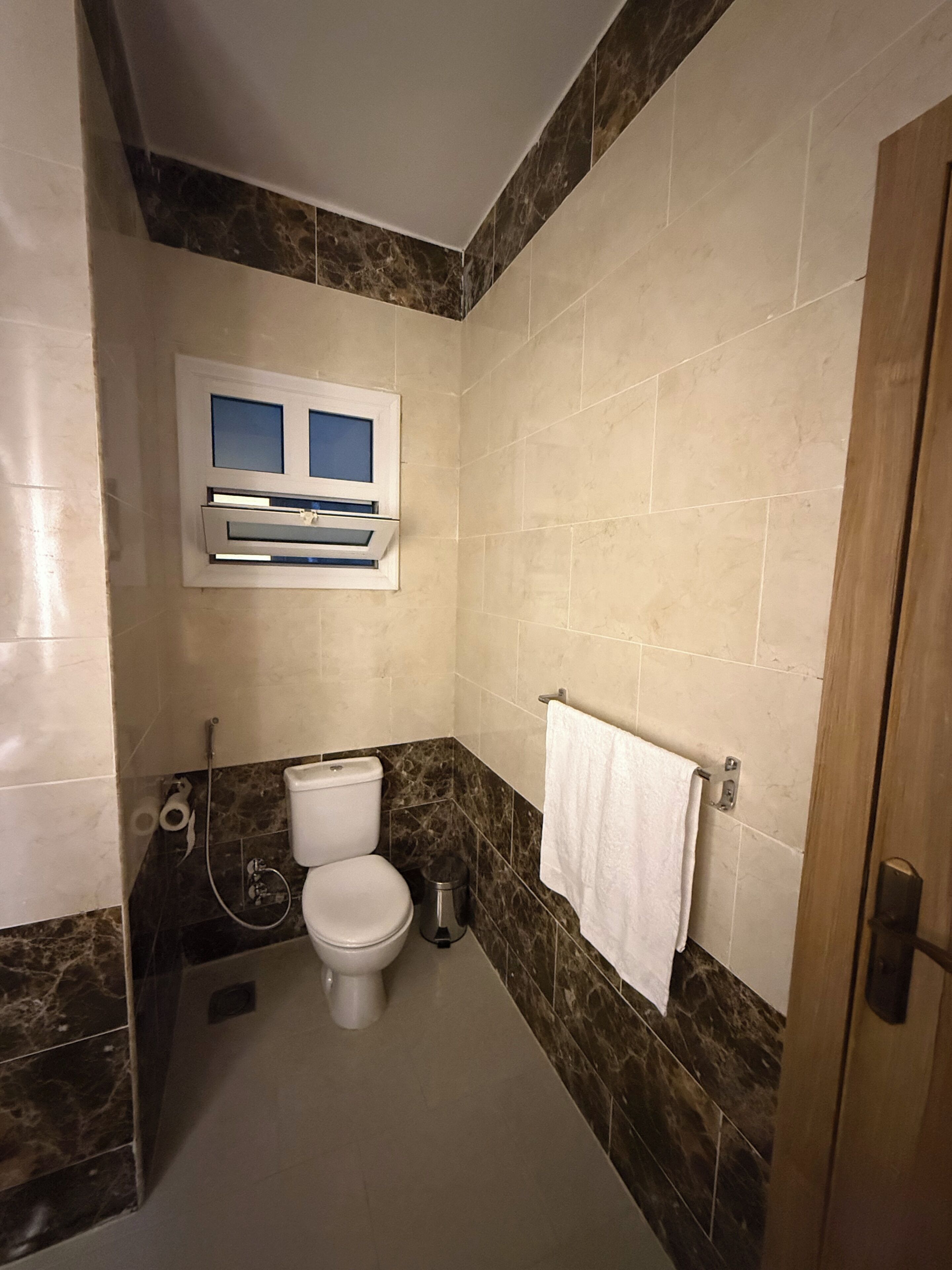 A bathroom with a toilet, a shower, and a towel rack.
