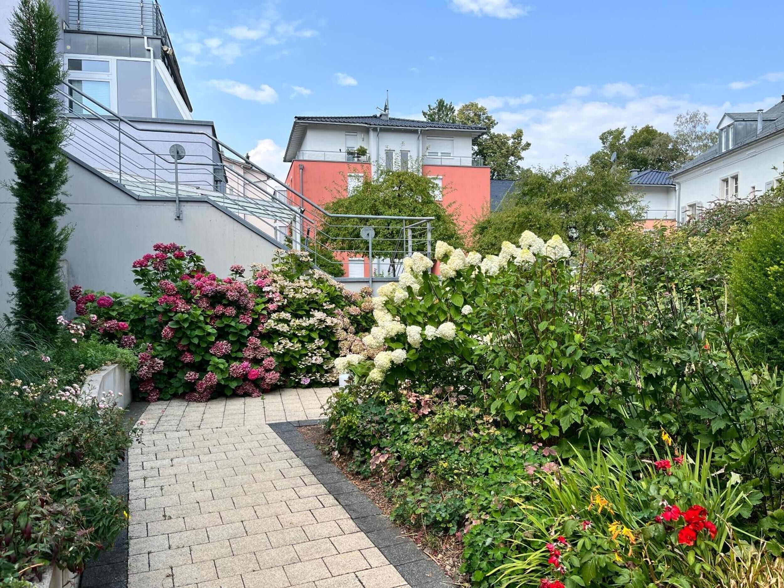 A paved pathway leading through a garden with various flowering plants and shrubs.