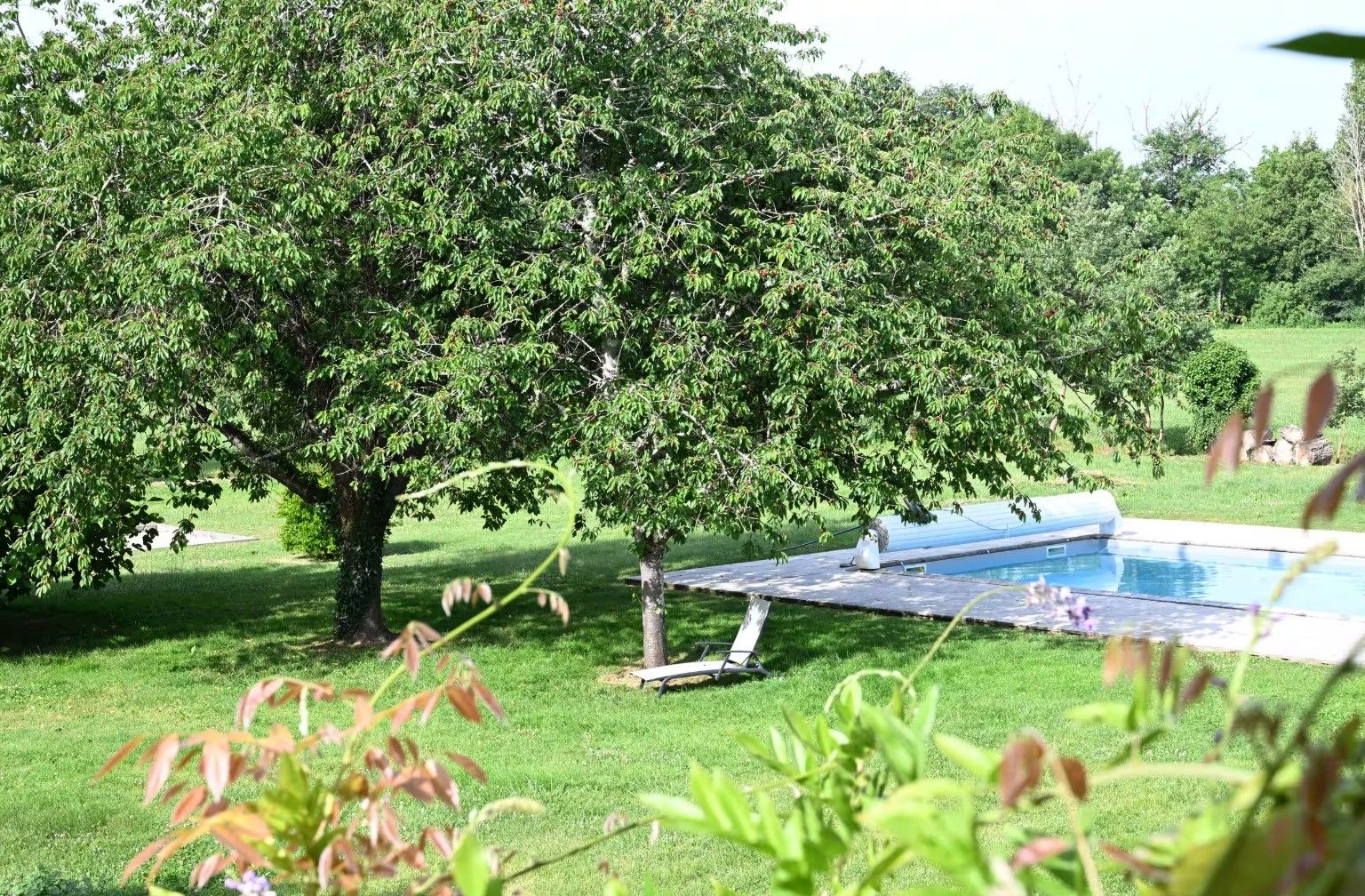 Piscina com área gramada e árvores ao fundo.