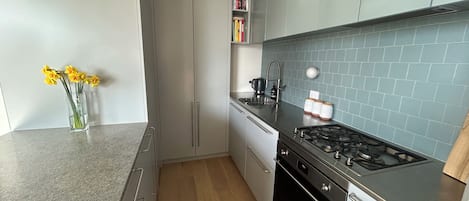 Ett modernt kök med en gasspis, en diskho och en bänkskiva. På bänkskivan står en bokhylla med böcker och en vas med blommor.
