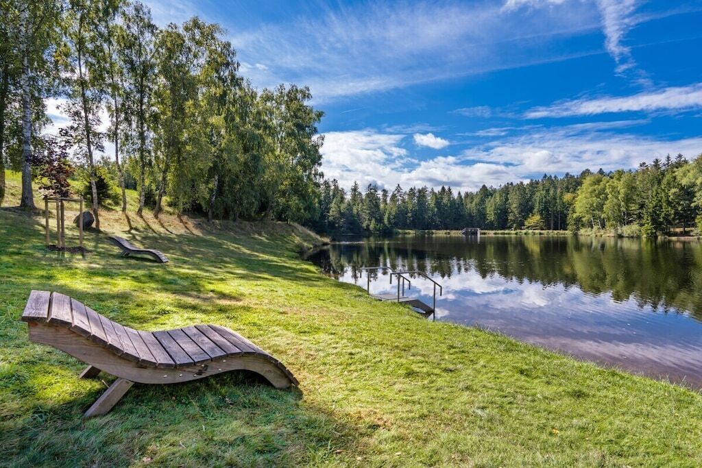 Un entorno junto al lago con una silla de madera, un muelle y un área boscosa.