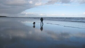 A beach scene with a person and a dog, calm water, and overcast sky. - Holiday home with 2 bedrooms (Varel - Dangast)