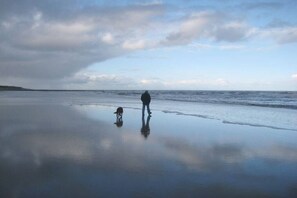 Une scène de plage avec une personne et un chien, une eau calme et un ciel nuageux.