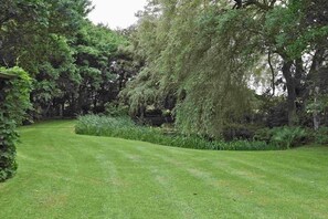 Ein gepflegter Rasenbereich mit dichter Vegetation und Bäumen.