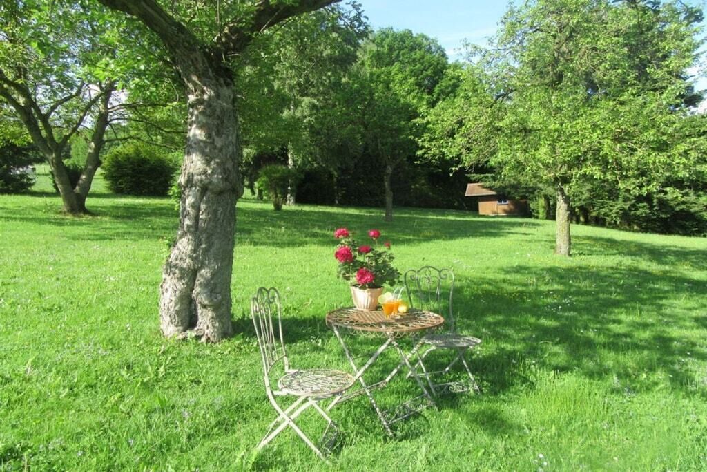 An outdoor seating area with a table and chairs, surrounded by trees and grass.