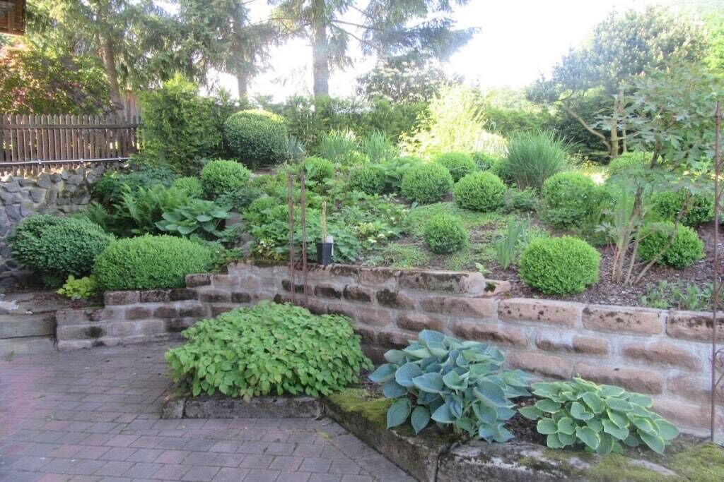 Een tuin met verschillende planten en een stenen muur.