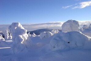 Un paisaje nevado con árboles cubiertos de nieve y cielo despejado.