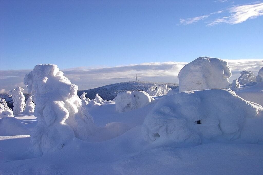 A snowy landscape with snow-covered trees and a clear sky.