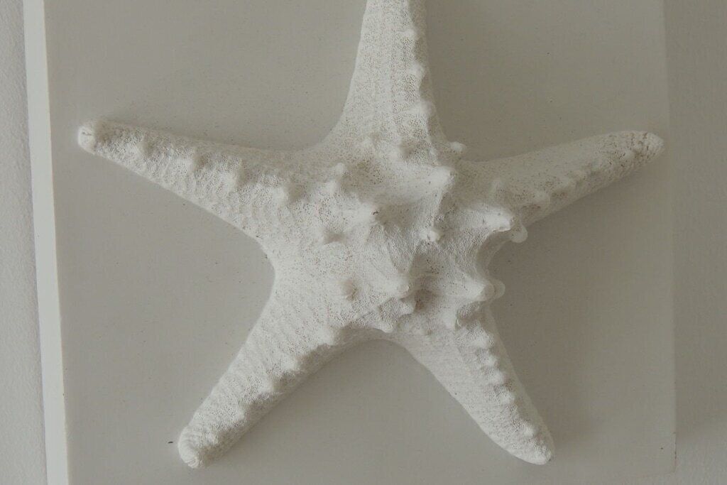 A white starfish decoration on a plain wall.
