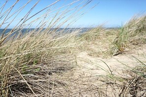 Ein sandiger Strand mit hohem Gras und freiem Blick auf den Ozean.
