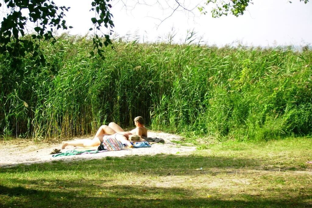 Two individuals lying on a blanket in a grassy area with dense vegetation in the background.