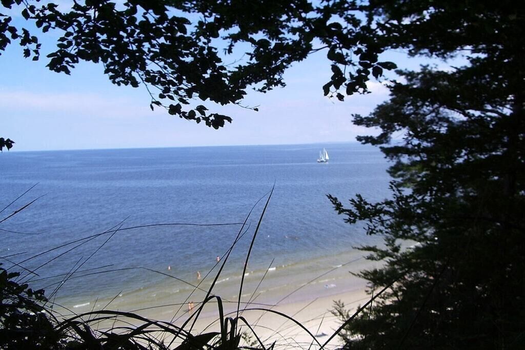 A view of a beach with a sailboat in the distance, surrounded by trees.