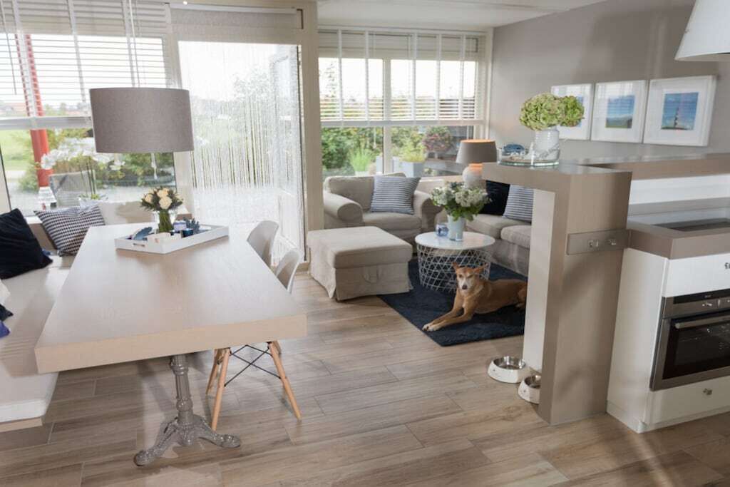 A modern living room with a dining area, a kitchen, and a dog resting on a rug.