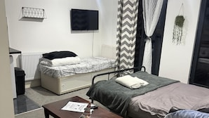 Une chambre à coucher avec un lit, un canapé, une petite table, un téléviseur et un radiateur.