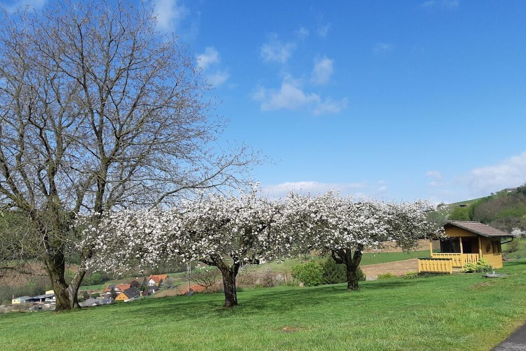 A rural landscape with a clear sky, a large tree with white blossoms, and a small yellow building.