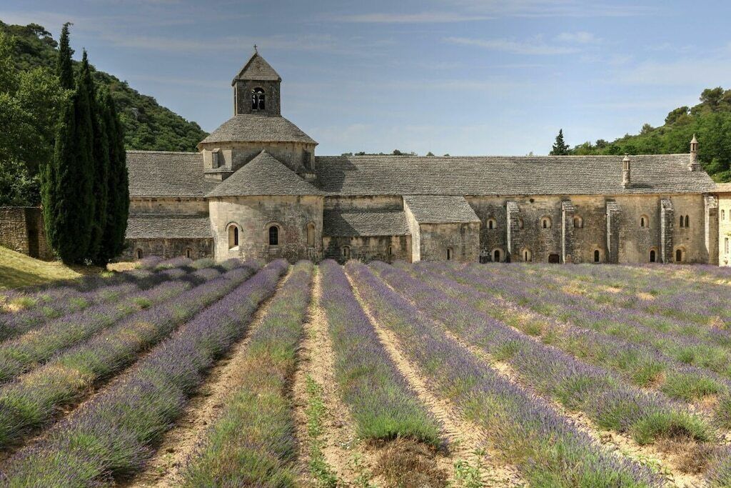 A historic building with a bell tower and rows of lavender fields.