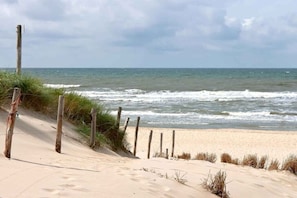 Ein Sandstrand mit Holzzaun und Gras.