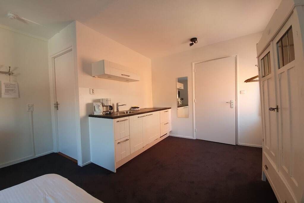 A bedroom with a bed, a kitchenette with cabinets, and a door leading to another room.