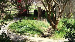 Ein Gartenbereich mit Weg, einem Holztisch und Stühlen sowie verschiedenen Pflanzen und Bäumen.