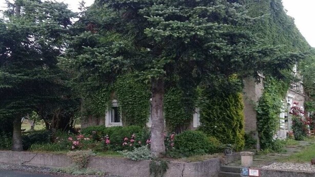 Ein Gebäude mit einer Steinfassade und einer mit Efeu bewachsenen Wand, mit einem kleinen Fenster.