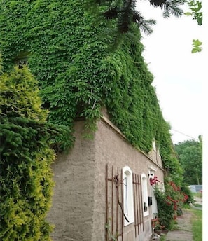 Eksteriør