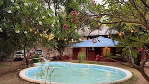 Una piscina rodeada de exuberante follaje y una casa con techo azul.
