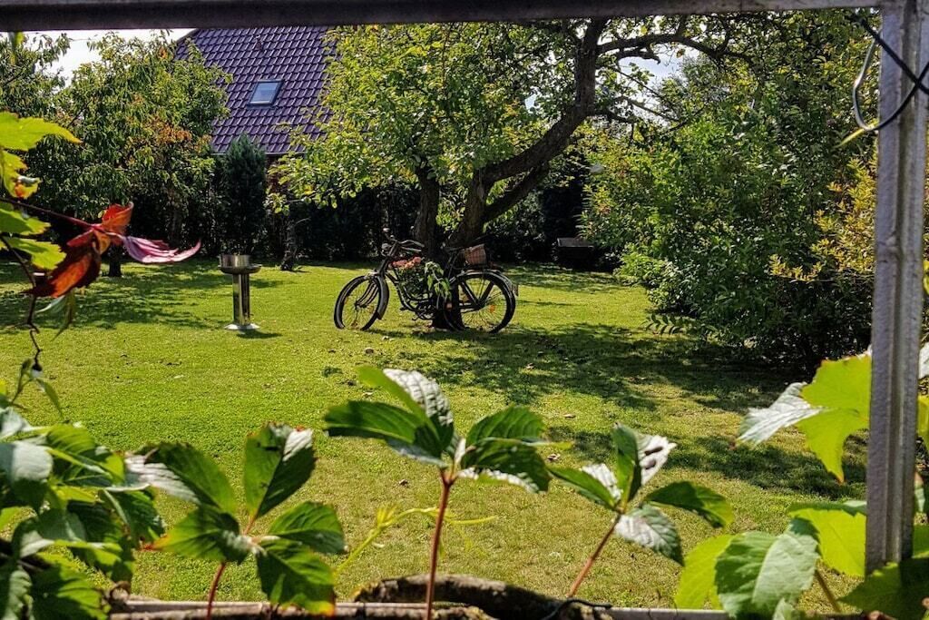 Un jardí amb una bicicleta, un arbre i una casa al fons.