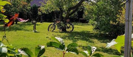 A garden with a bicycle, a tree, and a house in the background.