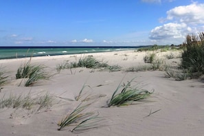 Een strand met duinen en schaarse begroeiing.