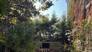 A garden pathway leading to a wooden structure, surrounded by various plants and a brick wall.
