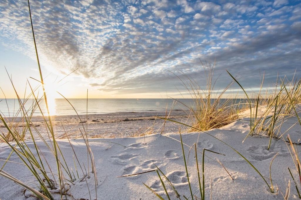 A beach with sand and grass, a clear sky, and the ocean in the background.