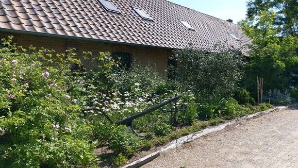 Ein Haus mit Ziegeldach, einem Garten mit verschiedenen Pflanzen und einer Auffahrt mit Kies.