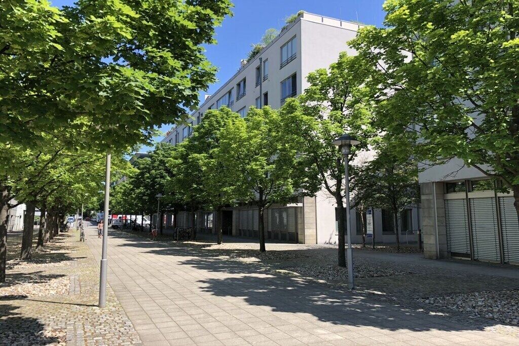 A tree-lined urban street with buildings, a sidewalk, and a bicycle.
