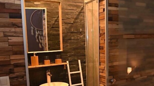 A bathroom with a wooden wall, a sink, and a ladder. - Vip room 209 (Trooz)