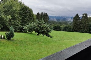 Eine grüne Wiese mit Bäumen und einem Gebirge im Hintergrund.