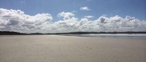A wide sandy beach with a clear sky and distant trees.